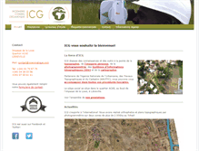 Tablet Screenshot of icgeomatique.com
